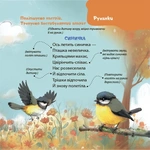 Віршенята-гралочки. Забавлянки, утішки, руханки, лічилки для малят. Матусина бібліотечка. Зображення №5 Віршенята-гралочки. Забавлянки, утішки, руханки, лічилки для малят. Матусина бібліотечка. Зображення №5