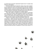 Корсар, или пушистая история с когтями. Изображение №9 Корсар, или пушистая история с когтями. Изображение №9