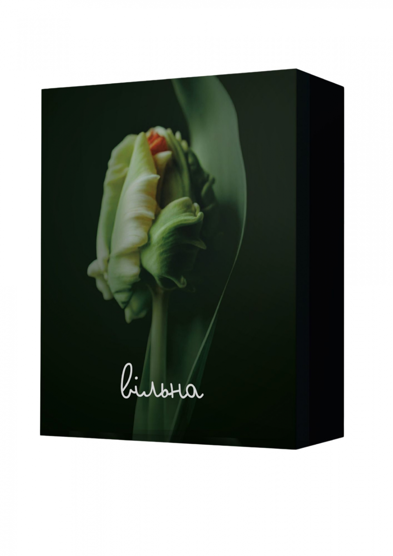 Настільна гра «Вільна!» Настільна гра «Вільна!»