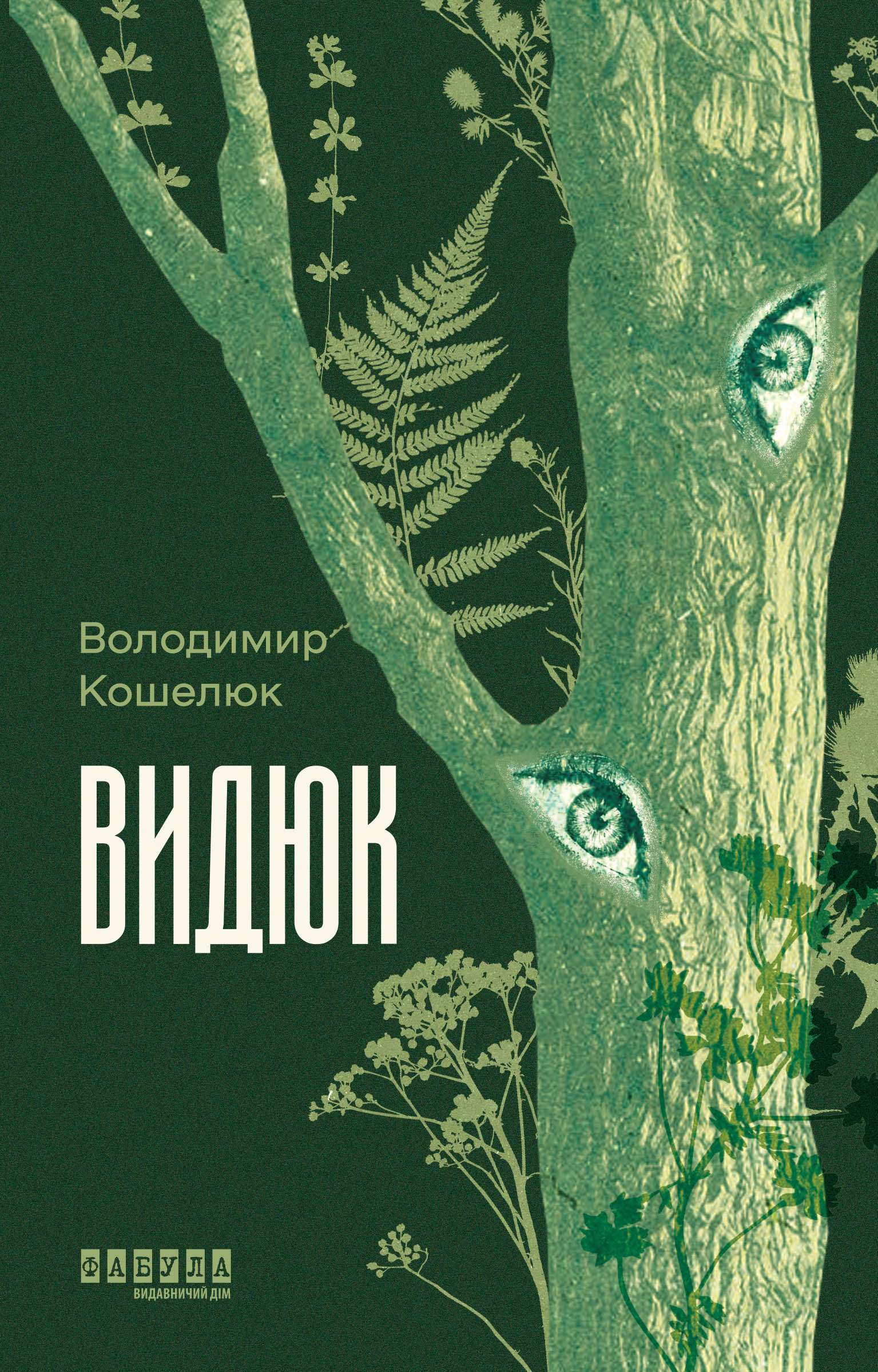 Видюк Видюк