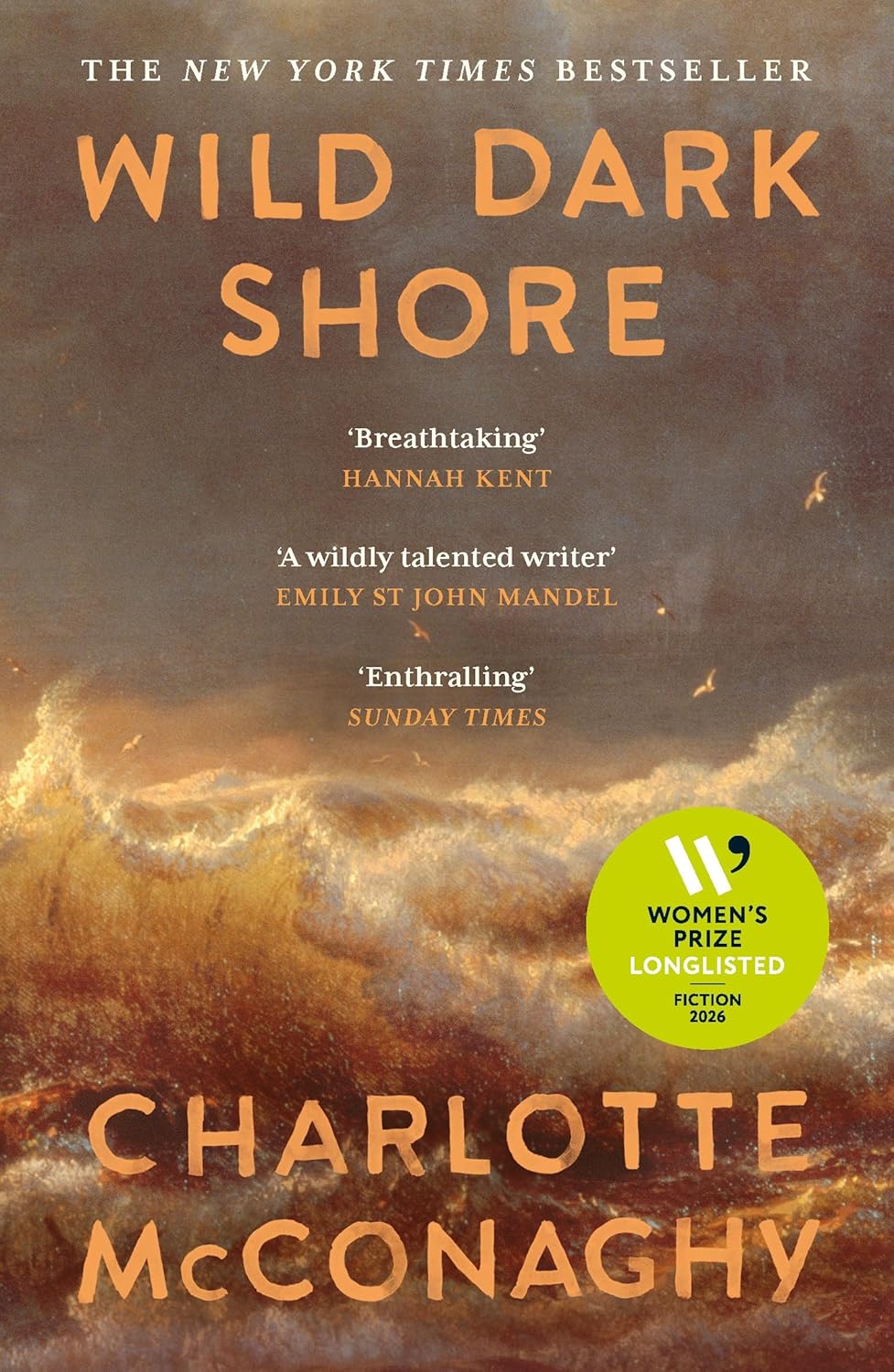 Wild Dark Shore Wild Dark Shore