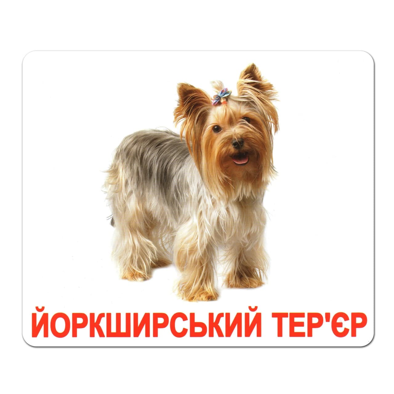 Ламинированные карточки Домана «Породы собак» Ламинированные карточки Домана «Породы собак»
