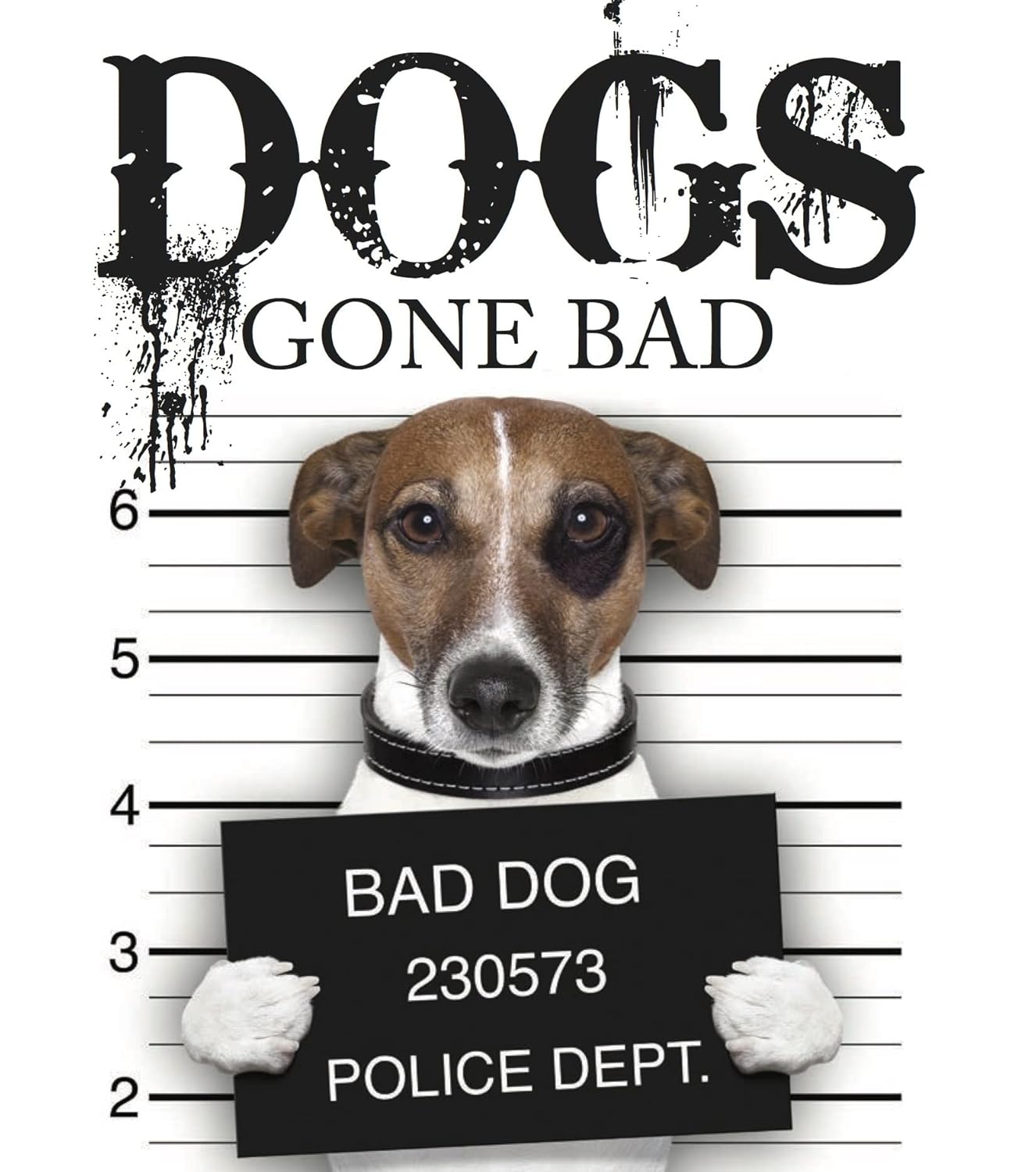 Dogs Gone Bad Dogs Gone Bad