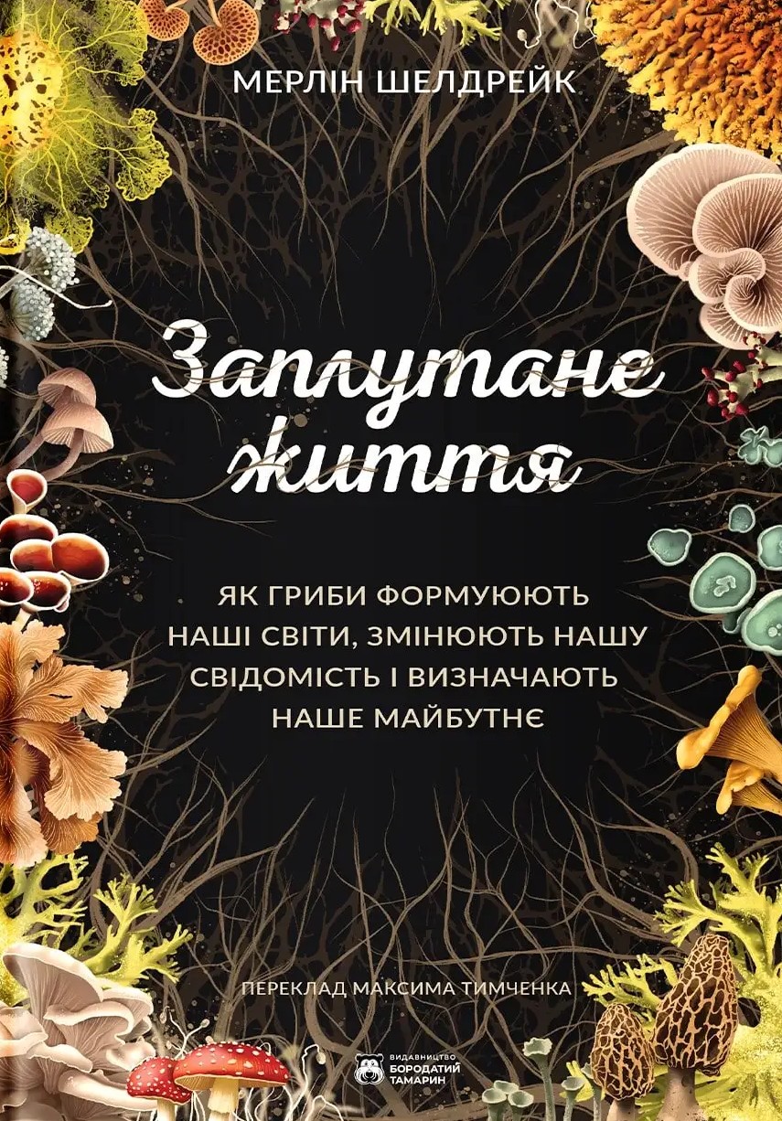 Заплутане життя Заплутане життя