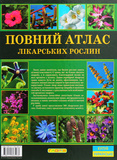 Повний атлас лікарських рослин. Зображення №1