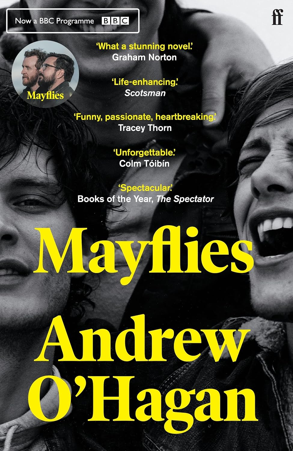 Mayflies Mayflies