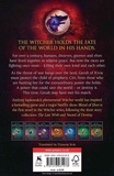 Blood of Elves. Изображение №1