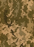 War It Is. Through volunteer’s eyes. Зображення №1
