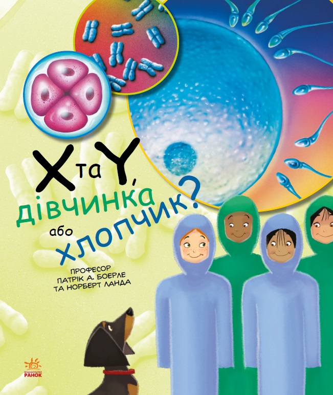 X та Y, дівчинка або хлопчик? X та Y, дівчинка або хлопчик?