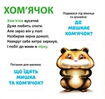 Кто где живет? 33 окошка. Изображение №3