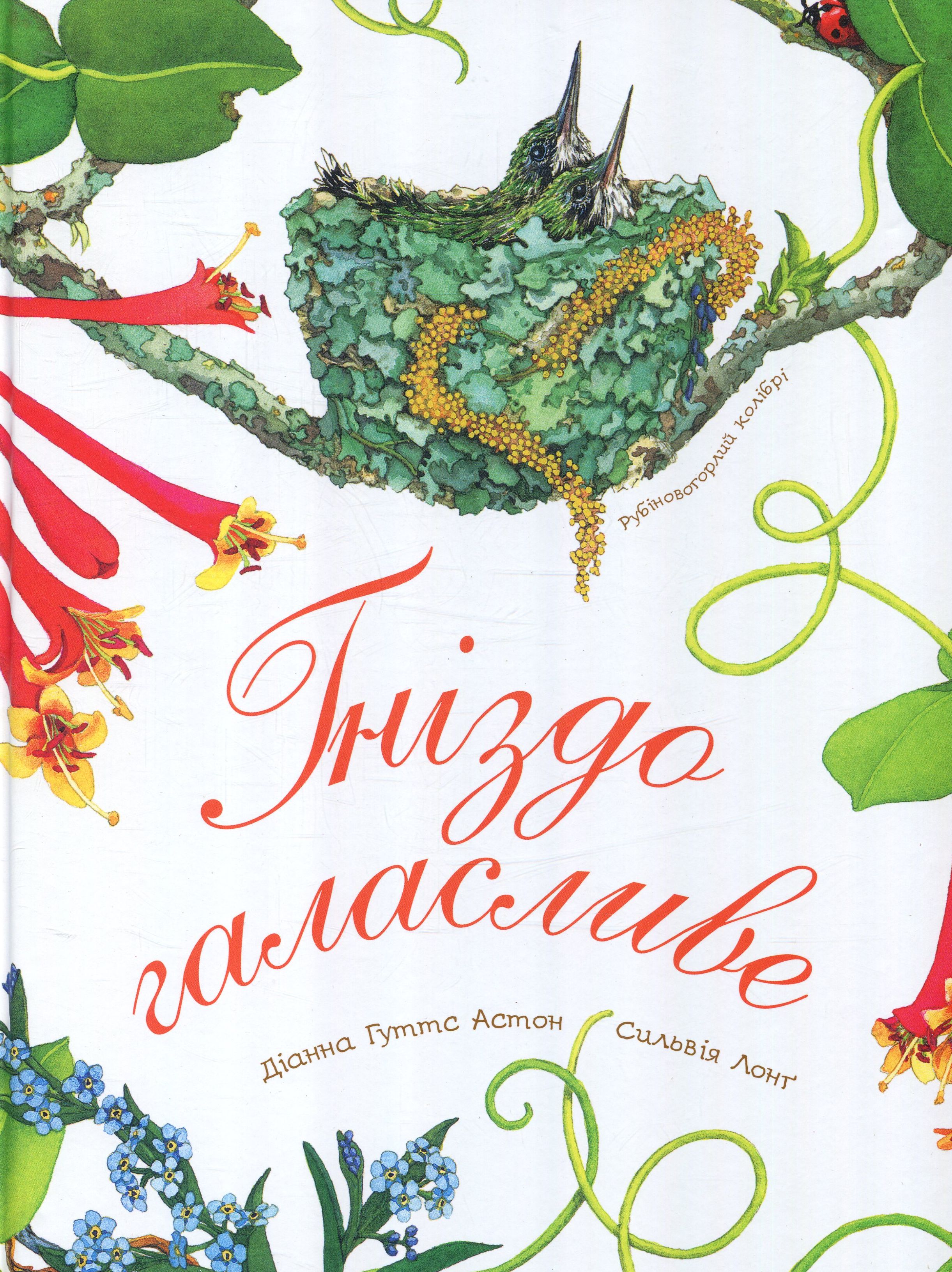 Гніздо галасливе Гніздо галасливе