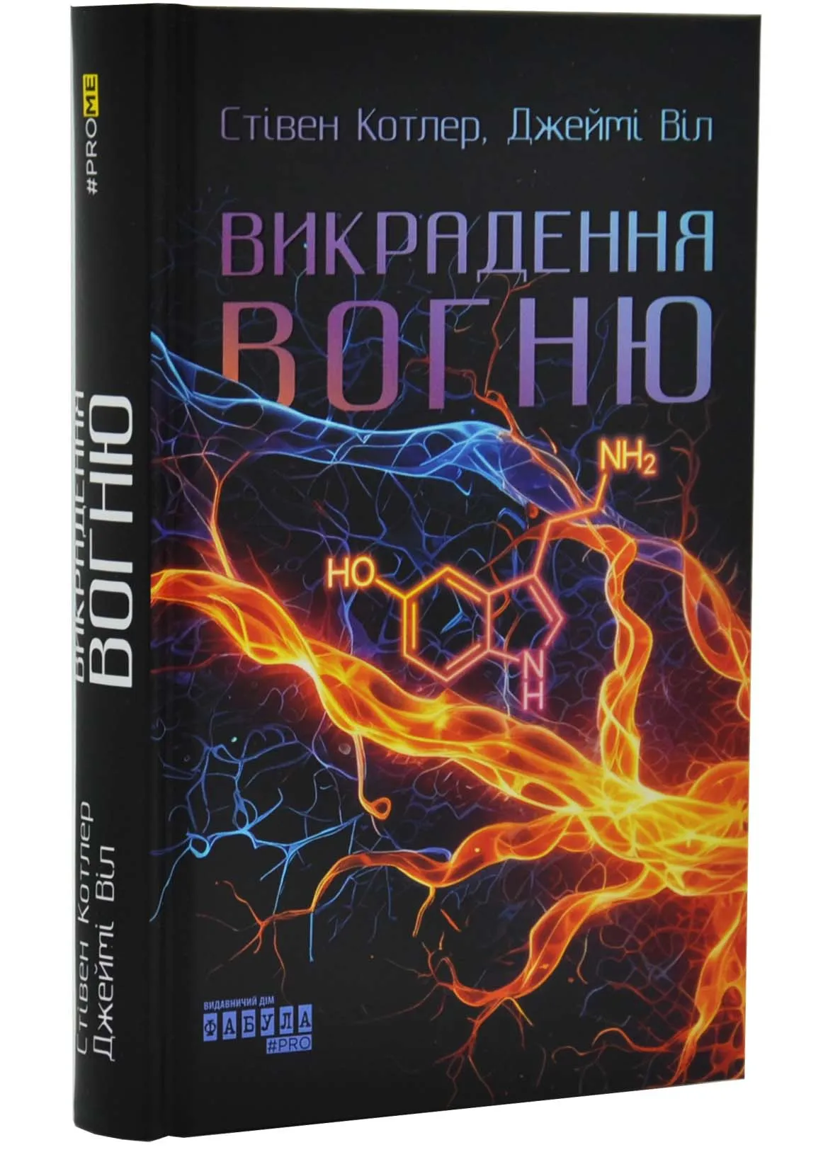 Викрадення вогню Викрадення вогню