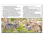Веселі історії про мурчиків та гавчиків. Зображення №2