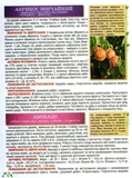 Повний атлас лікарських рослин. Глорія. Зображення №1