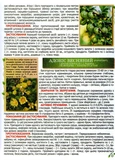 Повний атлас лікарських рослин. Глорія. Зображення №4