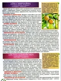 Повний атлас лікарських рослин. Глорія. Зображення №5