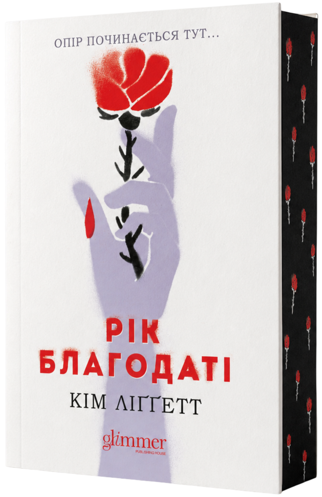 Год благодати Год благодати