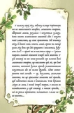 Мемуари лісу. Том 1 (лімітований зріз). Зображення №2