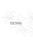 Год благодати. Изображение №8