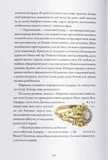 Чувство и чувствительность. Изображение №3 Чувство и чувствительность. Изображение №3
