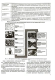 Биология. Комплексная подготовка к ВНО/НМТ 2027 Барна И., Павличенко А.. Изображение №3 Биология. Комплексная подготовка к ВНО/НМТ 2027 Барна И., Павличенко А.. Изображение №3