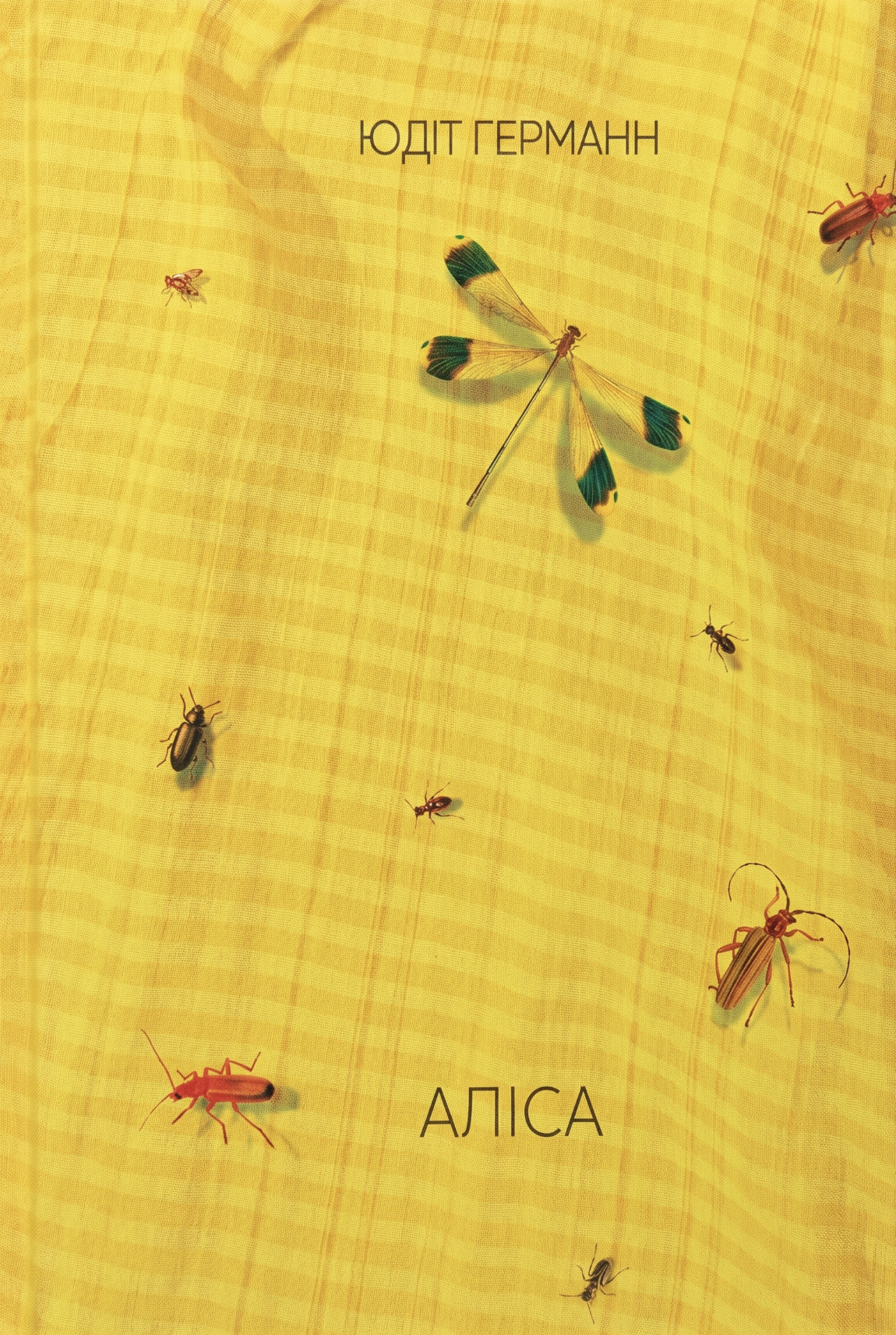 Аліса Аліса